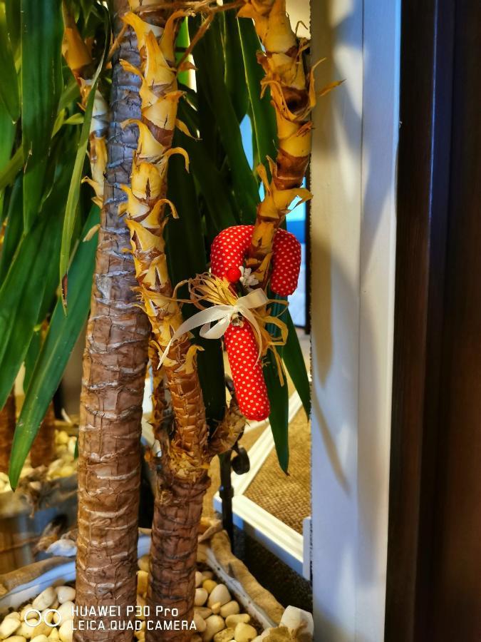 Hotel Swiss 苏曼 外观 照片