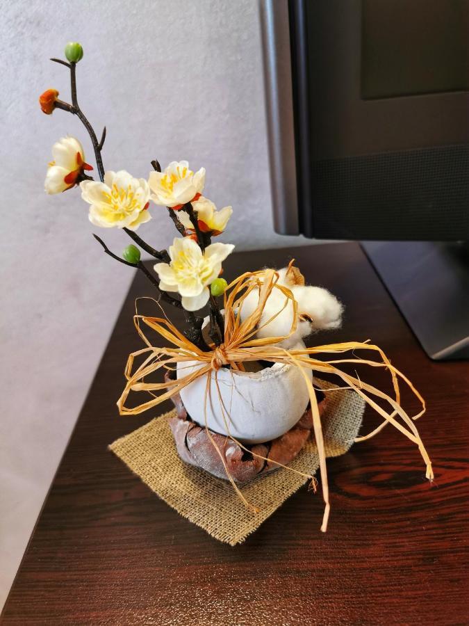 Hotel Swiss 苏曼 外观 照片